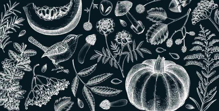 Vintage autumn background. Fall leaves, pumpkins, berries, mushrooms sketches on chalkboard. Hand-drawn vector illustration. Botanical banner design. NOT AI generated